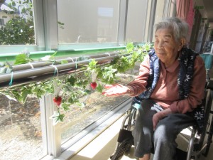 フルーツ狩り①