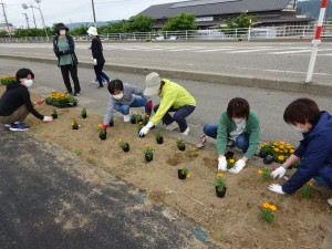 鹿寿苑花植えボラ (1)