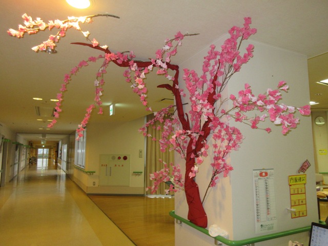 Sakura 桜 サクラ スペシャルブログ 社会福祉法人鹿南福祉会 鹿寿苑 Sakura 桜 サクラ スペシャルブログ 社会福祉法人鹿南福祉会 鹿寿苑