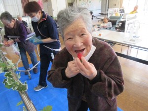 フルーツ狩り④